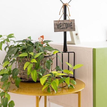 Springhome - Cozy Apartment With Balcony & Parking บราชอฟ ภายนอก รูปภาพ