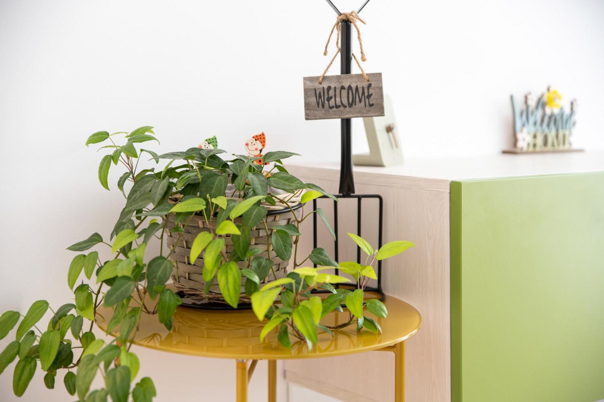 Springhome - Cozy Apartment With Balcony & Parking บราชอฟ ภายนอก รูปภาพ