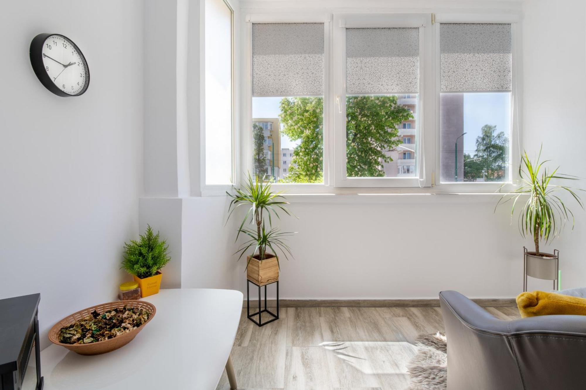 Springhome - Cozy Apartment With Balcony & Parking บราชอฟ ภายนอก รูปภาพ